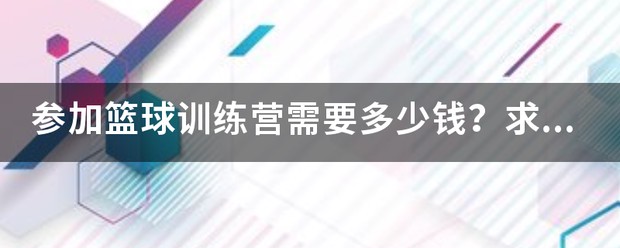大树篮球训练营收费